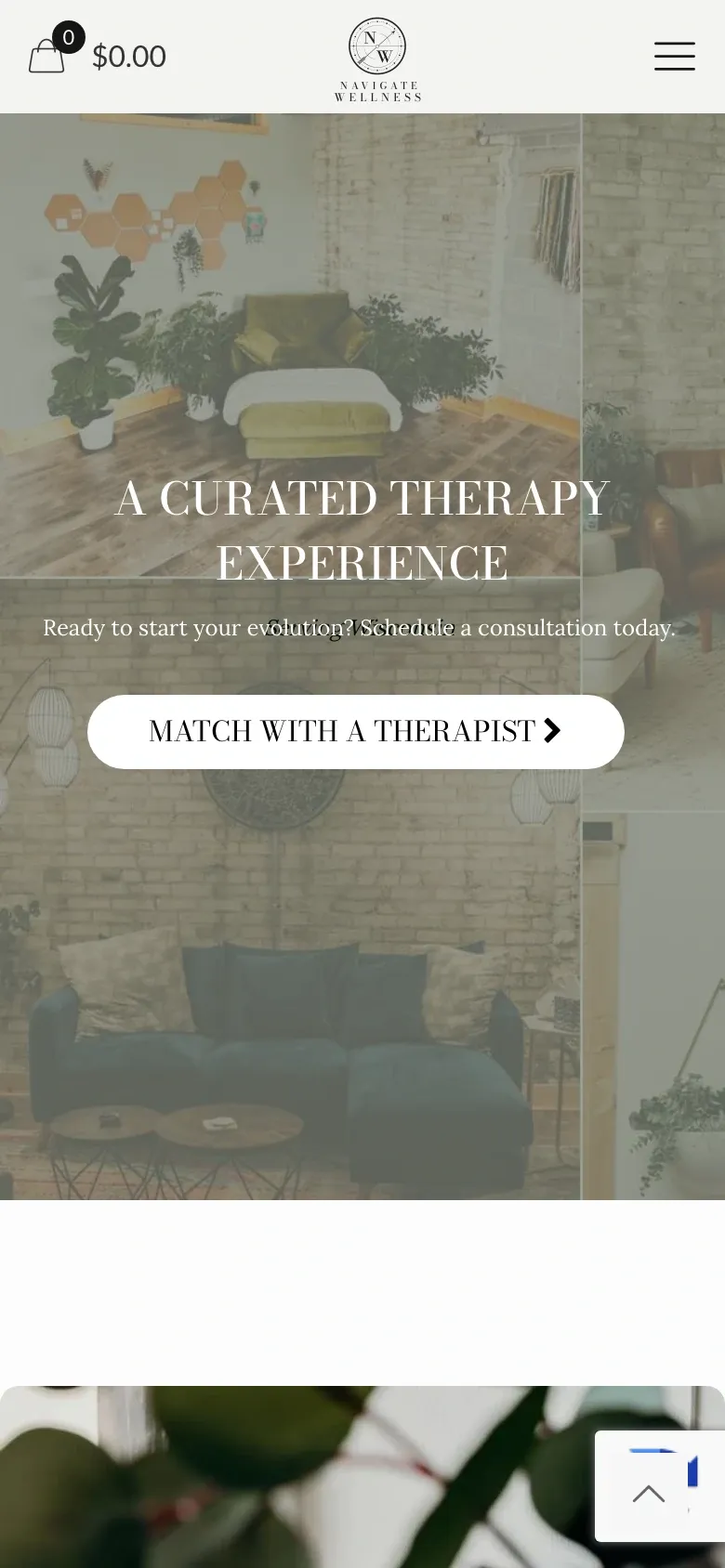 Navigate Wellness website on an iPhone